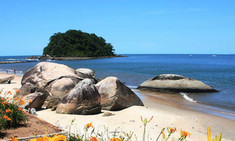 Matinhos: Cultura, Sol e Mar no Litoral do Paraná